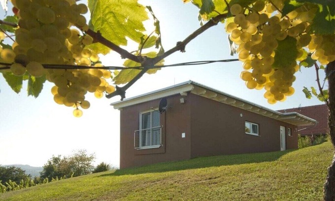Johnsdorf-Brunn Casa | Holiday home in the vineyard Das Nussberg