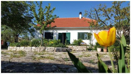 Drnis Casa | Holiday home "Kike & Mara"
