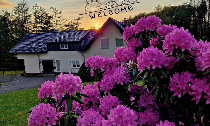 Reichshof Casa | Holiday Home - Nebelseifen - Pets welcome -