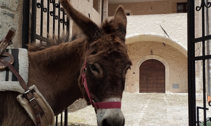 Goriano Valli Apartamento | Holiday home “Orso” - Spacious apartment in a historic palazzo