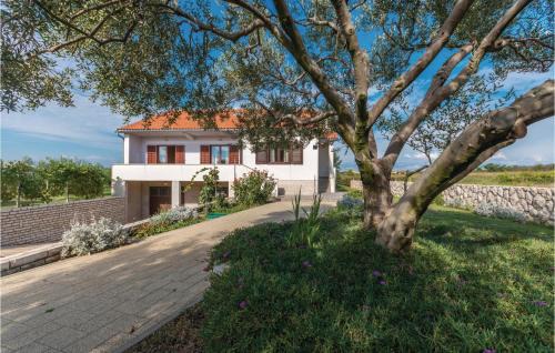 Privlaka Casa | Holiday Home Privlaka 03