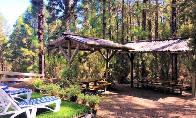 Icod de los Vinos Casa | Holiday Home Sendero floral