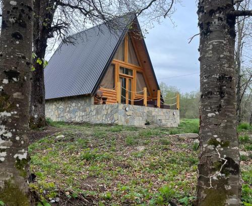 Podgorica Capital City Casa | Holiday Home Veruša