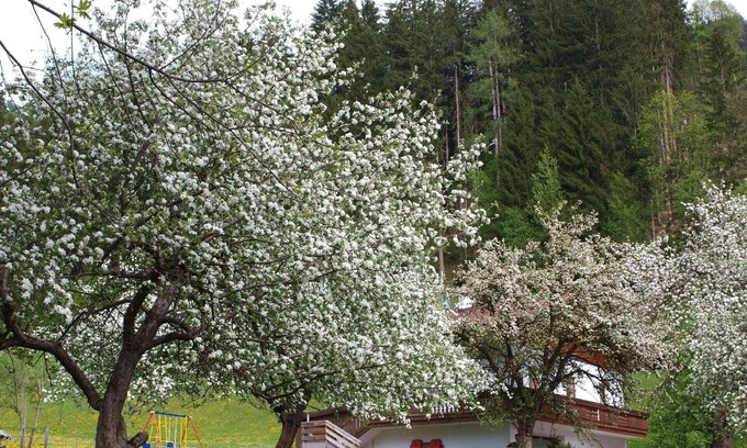 Helfenstein Otro | Casa de vacaciones Hart im Zillertal para 1 - 7 personas con 3 dormitorios - Casa rural