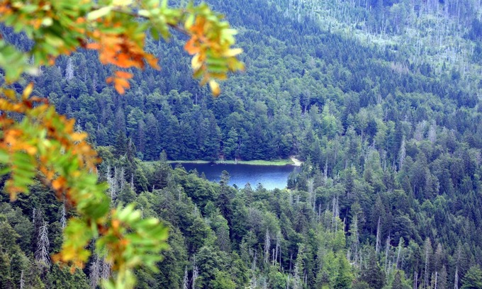Kirchdorf im Wald Apartamento | Casa de vacaciones Corinna con acogedores apartamentos de 4 estrellas inundados de luz