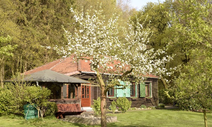 Elmlohe Casa | Casa de vacaciones en un lugar idílico aislado