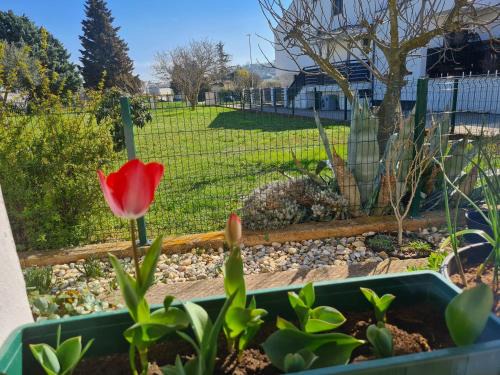 Sikici Apartamento | Holiday House Lea