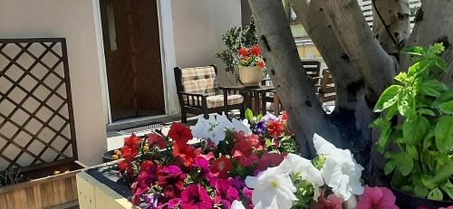 Mount Vesuvius - Pompei Apartamento | Holiday House NELLINA