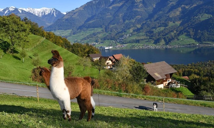 Sarnen Otro | Casa de vacaciones Stalden para 1 - 4 personas con 2 dormitorios - Casa rural