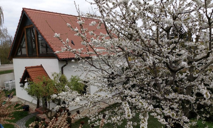 Erfurt Casa | Casa de vacaciones A la vieja escuela de manejo
