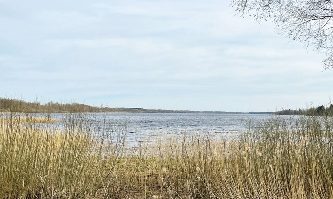 Ryssby Casa | Holiday house with central location 17 km from Ljungby | SE06047