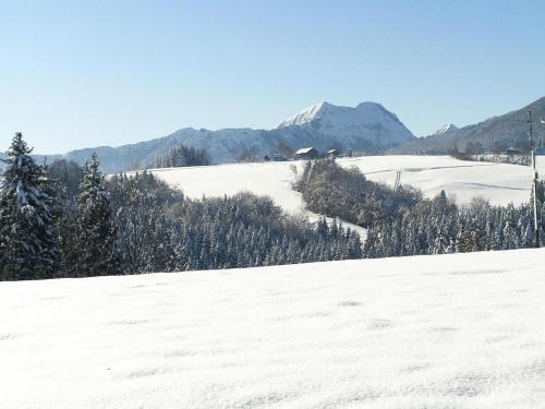 Vorauf Apartamento | Holiday Village Vorauf, Siegsdorf