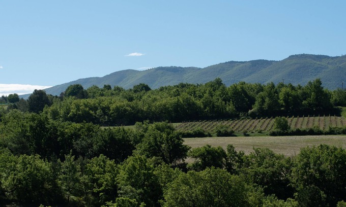 Caseneuve Casa | Vacaciones en Caseneuve en un viñedo