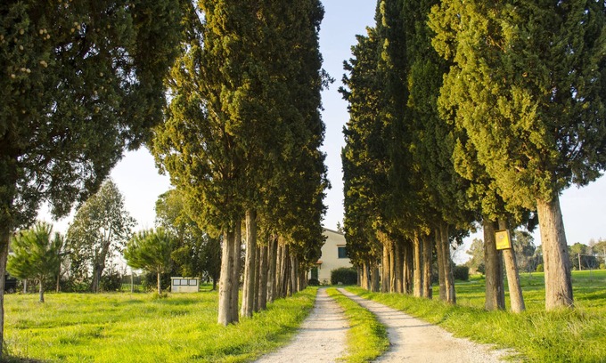 Castagneto Carducci Apartamento | ¡Apartamento en el campo verde con piscina, a solo 4 km del mar!