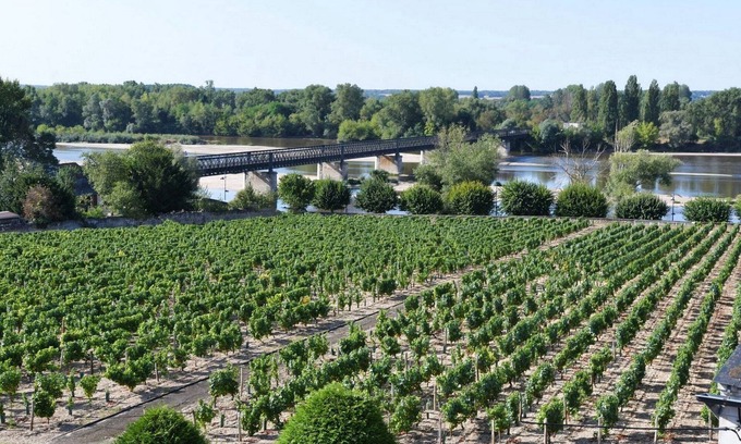 Pouilly-sur-Loire Cabaña | Vacaciones en Pouilly / Loire con vistas al Loira y los viñedos clasificados 2 estrellas