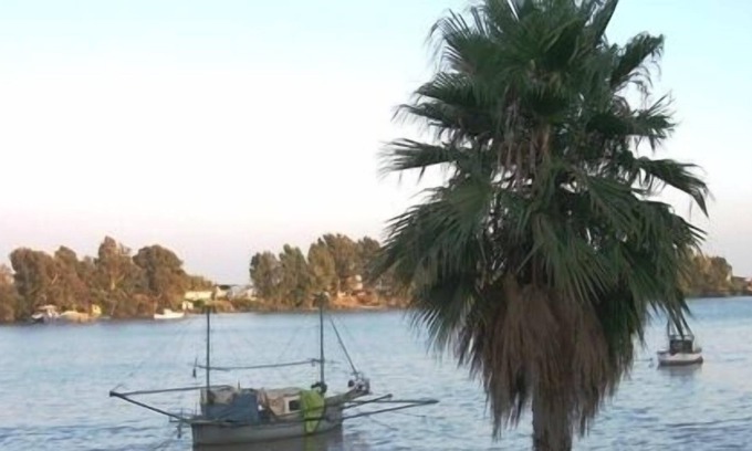 Coria del Río Casa | Vacaciones en Sevilla (Andalucía)