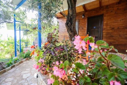 Himare Hotel | Holiwood
