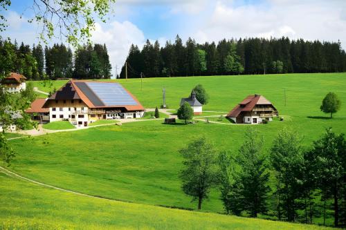 Breitnau Apartamento | Holzhof