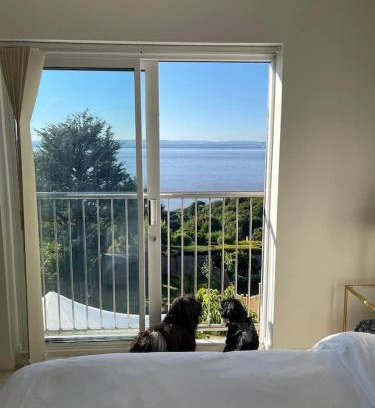 Portishead Casa | Home
