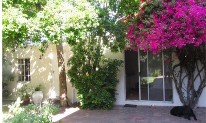 Pinelands Apartamento | Home On Uitvlugt - Peaceful leafy garden flat with sunny lounge