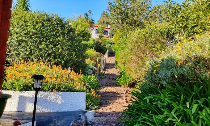 Camacha Casa | Homerez - House 12 km away from the beach for 5 ppl. with terrace at Camacha