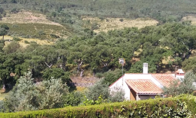 La Aceña de la Borrega Apartamento | Homerez - Estudio en Valencia de Alcántara