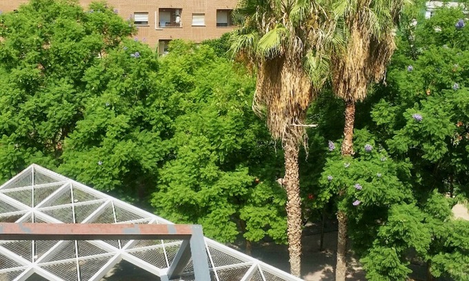 Benimaclet Apartamento | Homerez - Apartamento espacioso con jardín en Valencia