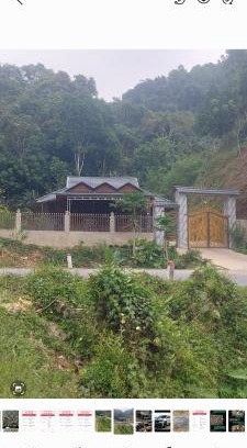 Bao Lam Apartamento | Homestay Cốc Lào