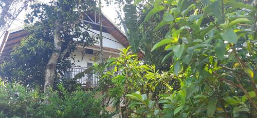 Sea View Ward Cama Y Desayuno | Homestay DGH