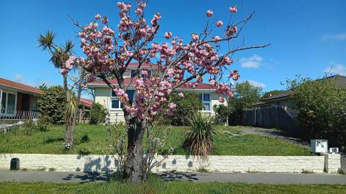 Christchurch Casa | Homestay Family rooms Near city center