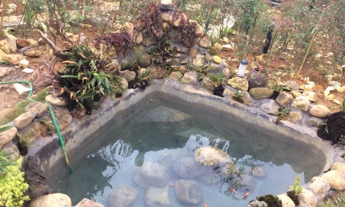Lao Cai Casa | Homestay Vuon Hong Co