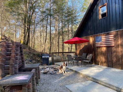 Saint Helens Casa | Homestead Cabin Red River Gorge