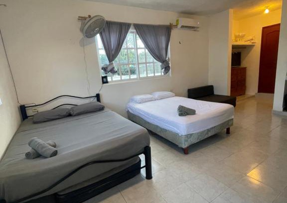 Colonia Centro Apartamento | Homey studio in the CENTRO of town !