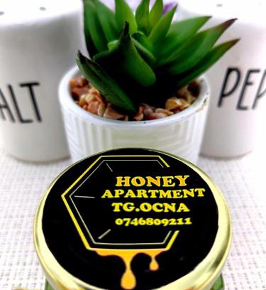 Tirgu Ocna Apartamento | Honey apartment