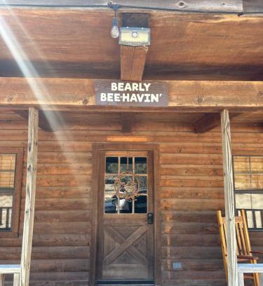 Concan Casa | HoneyComb Hideouts Bearly BeeHavin cabin