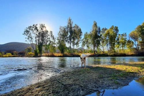 Vredefort Chalet De Esquí | Honeypot Fly Fishing Eco Chalet