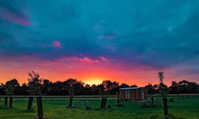 Bedfield Cabina | Honeysuckle Farm Hut 1 - Suffolk Farm Holidays