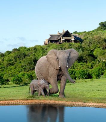Colchester Cabina | Hopewell Private Game Reserve