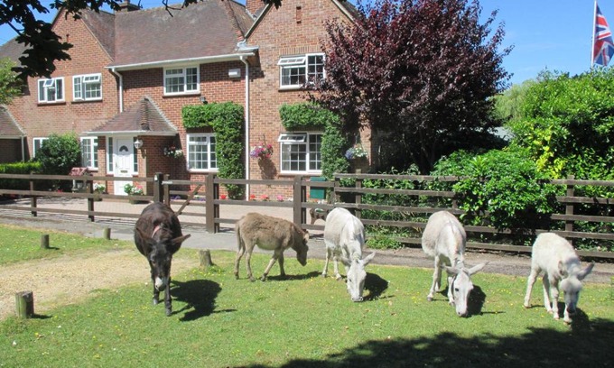 New Forest District Casa | Hops Annex