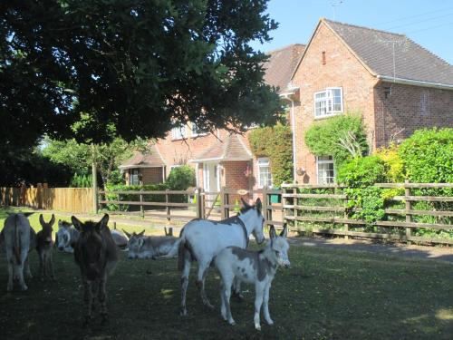New Forest District Casa | Hops Main House, Brockenhurst, New Forest