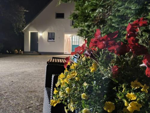 Ringe Apartamento | Horsea