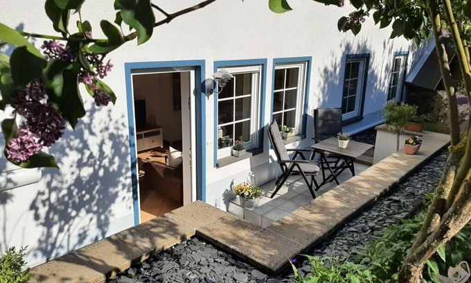 Munstermaifeld Casa | Hortensia Mosel Comfortable holiday residence