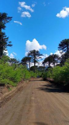 Melipeuco Casa | Hospedaje de montaña Rincón Conguillío