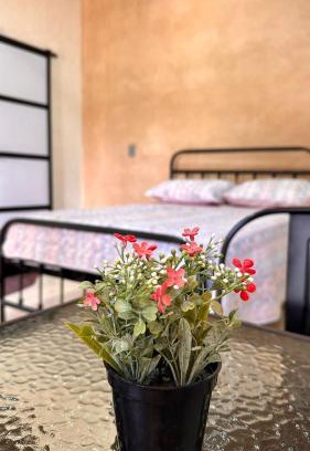 Ocosingo Casa | Hospedaje Jardin