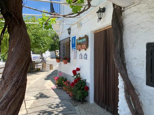 Capileira Casa | Hostal Atalaya en Capileira CB
