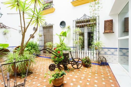 Trigueros Casa | Hostal Ciudad Trigueros