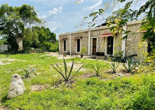 Homún Casa | Hostal Homún Oro Verde