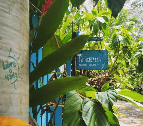 Capurgana Casa | Hostal La Bohemia