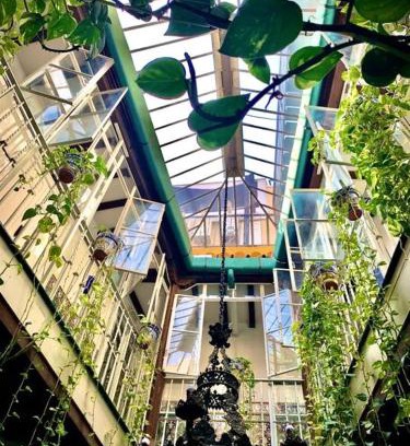 Alfalfa Casa | Hostal Lis