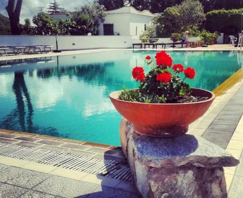 Panza Hotel | Hotel Al Bosco